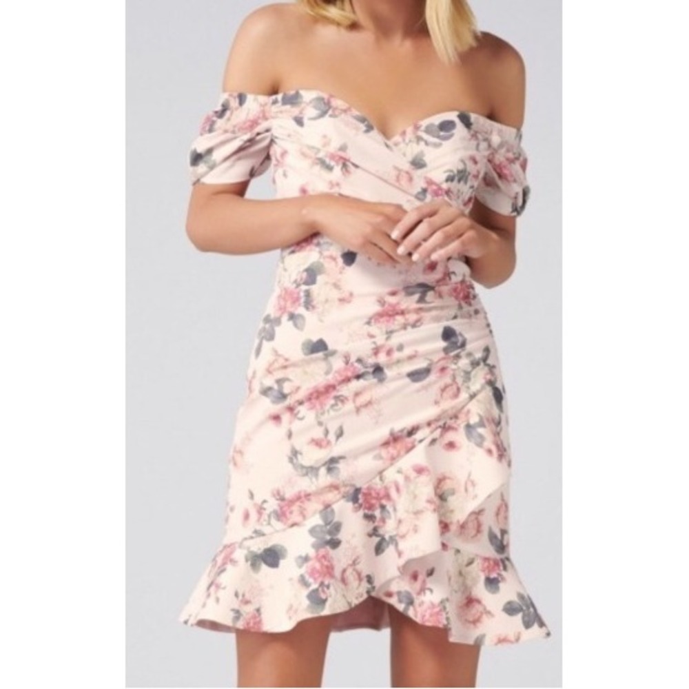 NWT Ever New Malia Rouched off shoulder Mini Dress Pink Floral 4 $165 Coquette